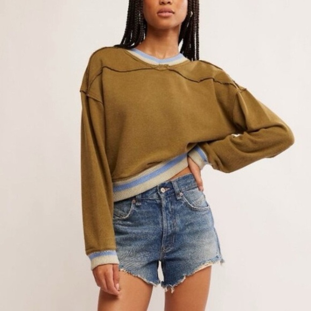 Free People Brown V-Neck Sweater with Blue Trim